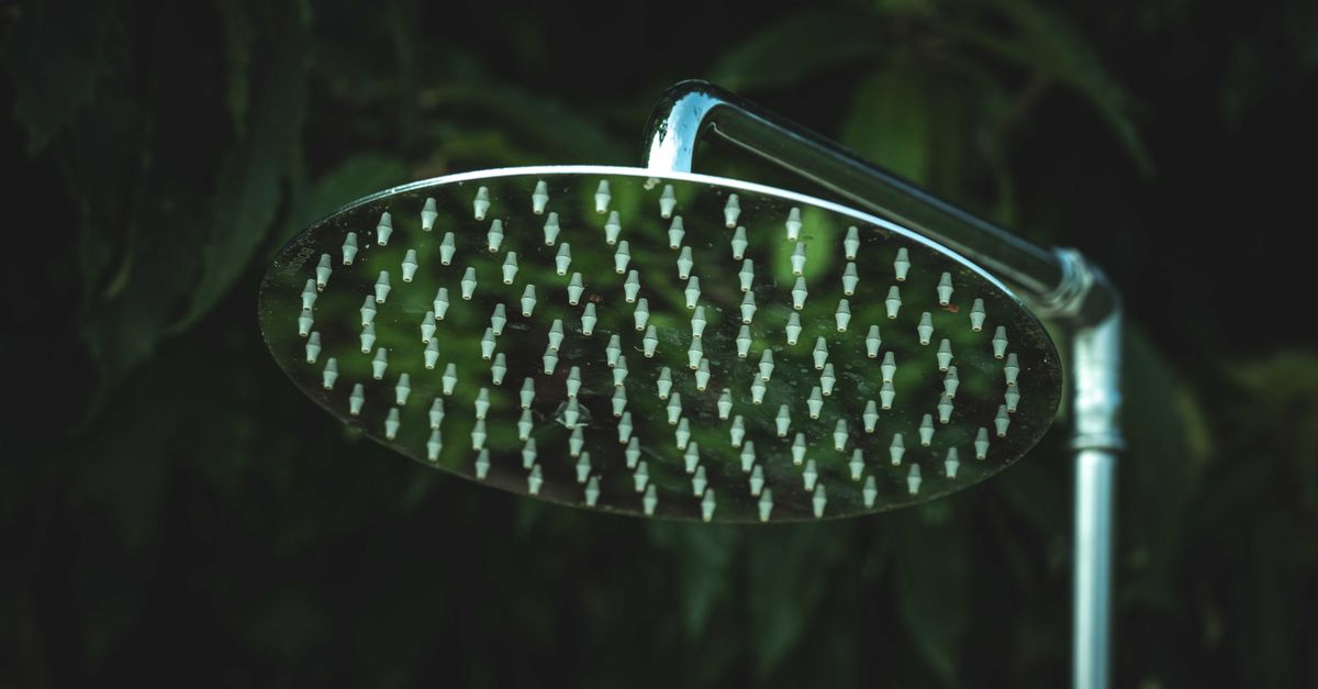 A round rain shower head mounted on a metal pipe outdoors against dark green foliage.