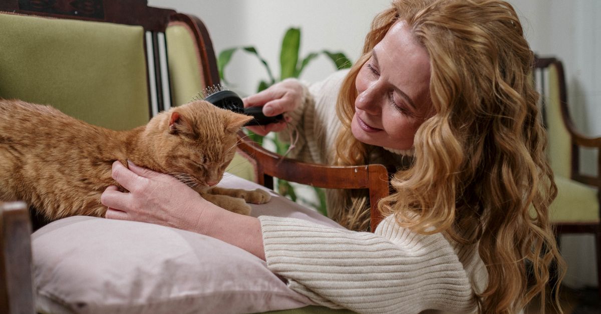 A woman with curly hair gently brushes an orange cat lying on a cushioned chair.