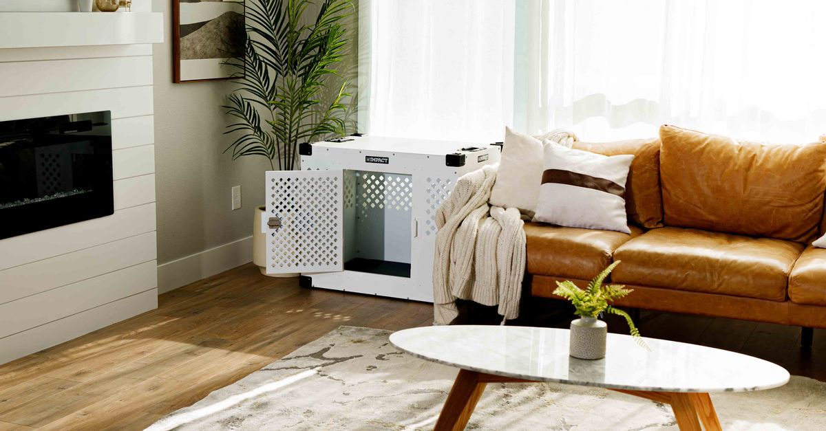 Making Your Dog's Crate a Place They Actually Love