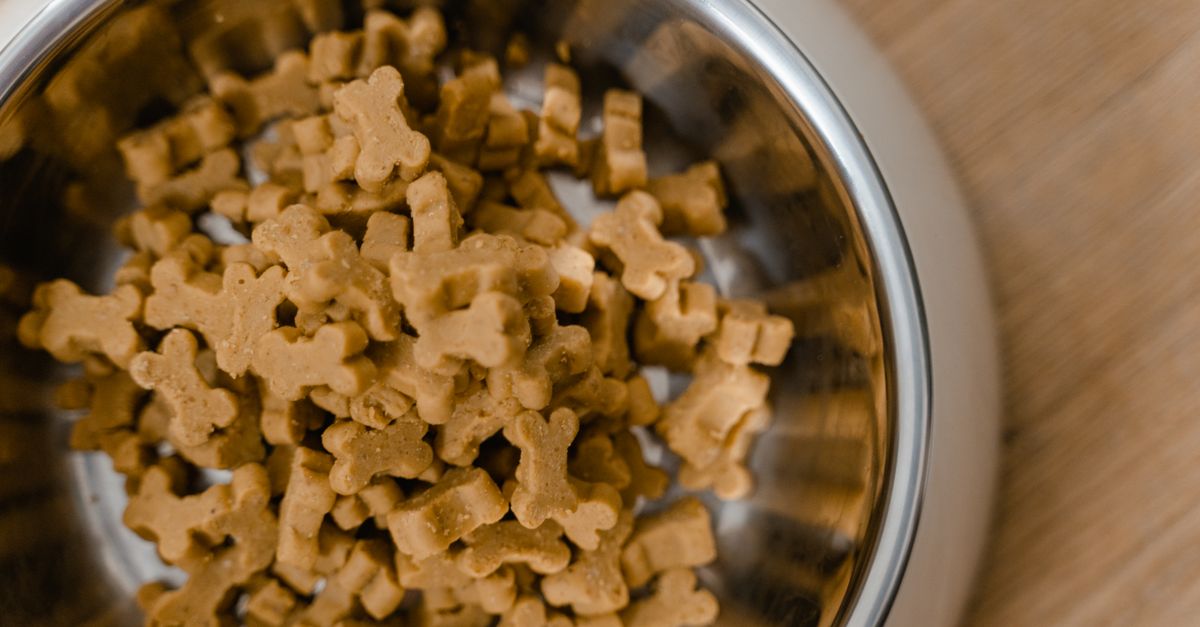 A close-up top-down view of a metal dog bowl filled with bone-shaped dry kibble on a wooden floor.