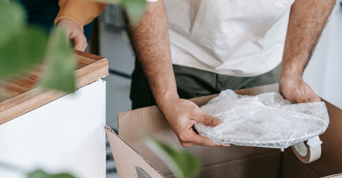 A person holds a plate covered in crumpled plastic wrap over an open cardboard box with a plant nearby.
