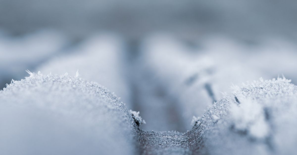 Ice-Free Freezer Walls: Why Frost Keeps Winning (and How to Stop It)